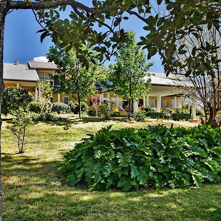 บันดานูนลอด์จ Bed & Breakfast ภายนอก รูปภาพ